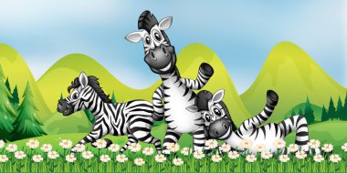 Çiçek alan üç zebras