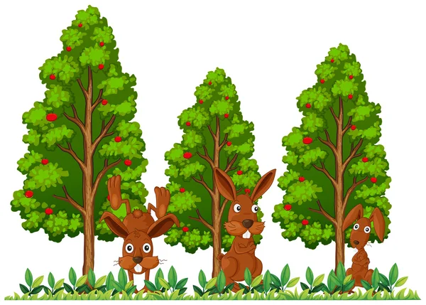 Three rabbits in the field — Stock Vector