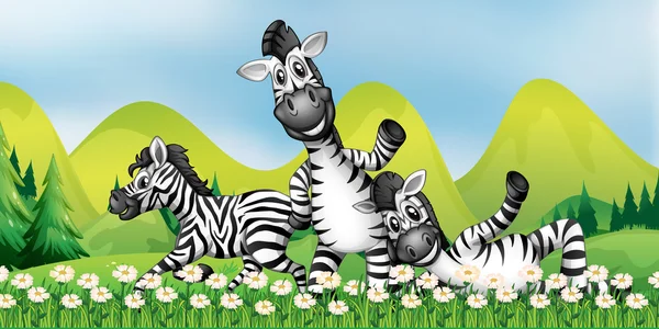 Three zebras in the flower field — Stock Vector