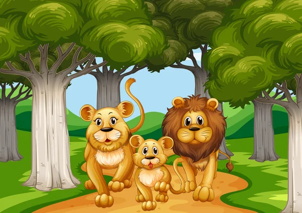 Tre leoni che camminano nella foresta — Vettoriale Stock