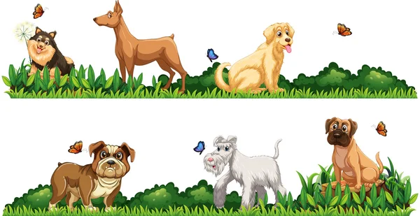 Différents types de chiens dans le jardin — Image vectorielle