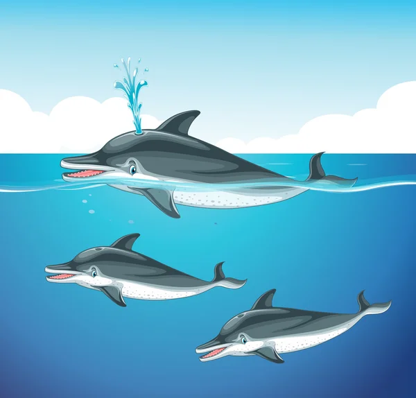 海豚在海洋中游泳 — 图库矢量图片