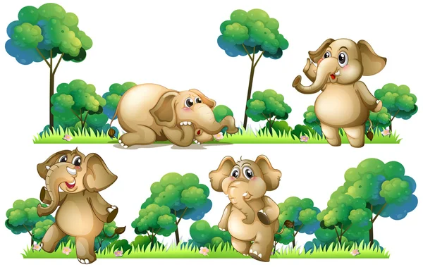 Elephants on the field — Stock Vector