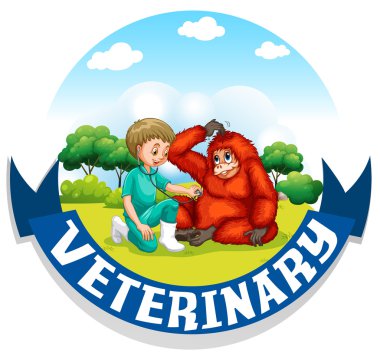 Veteriner urangutan parkta incelenmesi