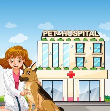 Veteriner ve köpek Hayvan Hastanesi