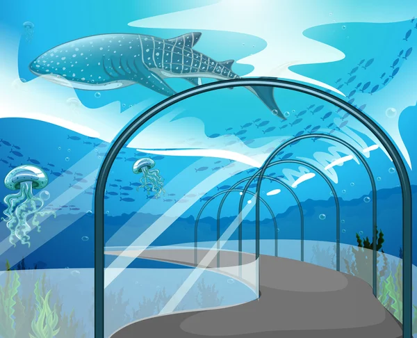 Escena de acuario con animales marinos — Vector de stock