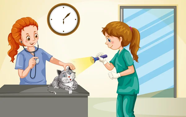 Veterinaria examinando pequeño gato — Vector de stock
