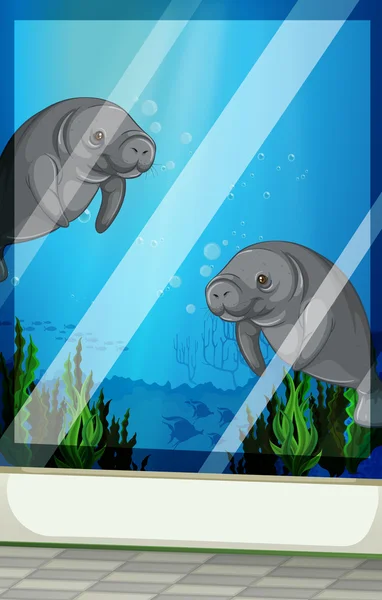 Seacows nageant sous la mer — Image vectorielle