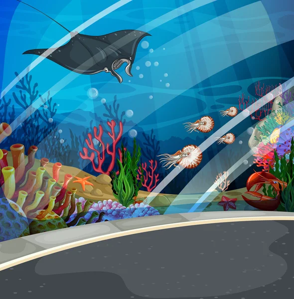 Aquarium with stingray swimming — Stock Vector