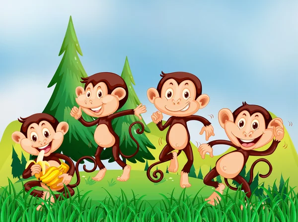 Čtyři opice v poli — Stockový vektor