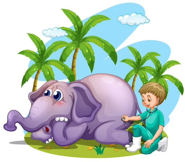 Vet examining elephant in the park — Stock Vector