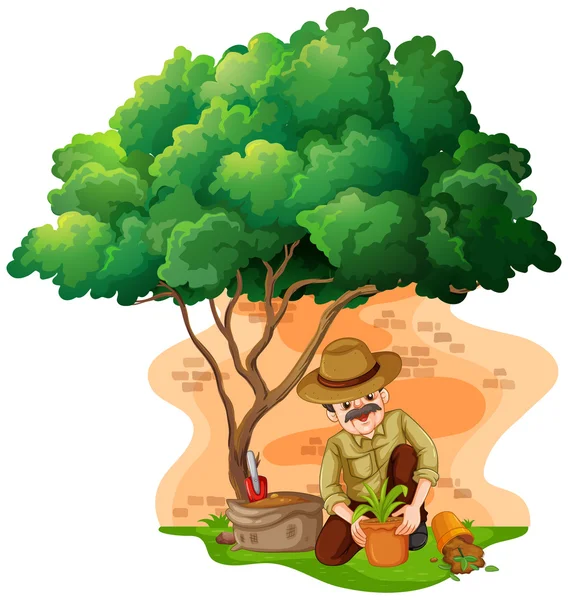 Man planting tree in the garden — Stock Vector