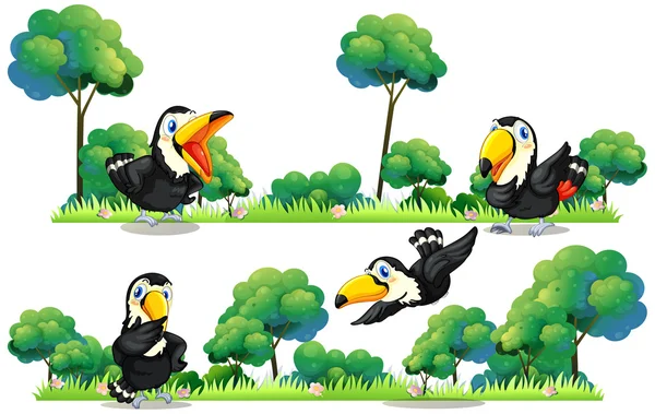 Toucans flying in the garden — Stock Vector