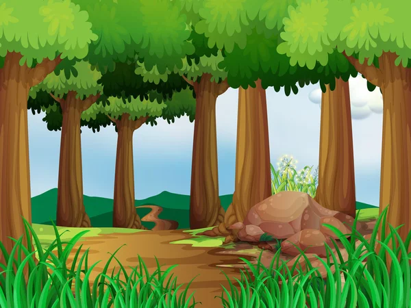 Escena natural con pista de senderismo en el bosque — Vector de stock