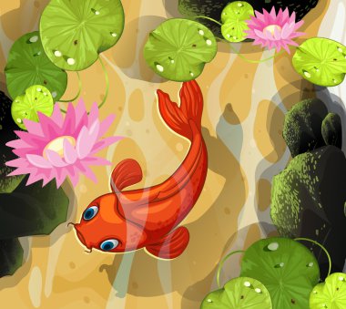 Koi swimming in the pond clipart