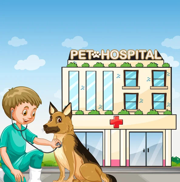 獣医、動物病院に犬 — ストックベクタ