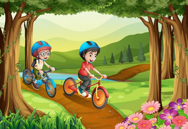 Two boys riding bicycle in the park — Stock Vector