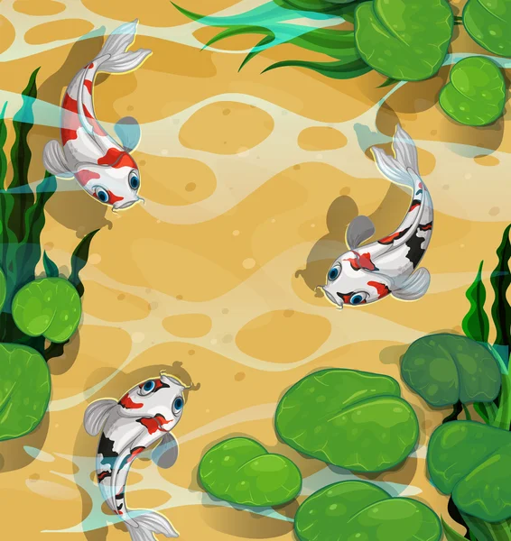 Three fish swimming in the pond — Stock Vector