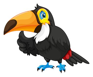Mutlu yüz ile Toucan
