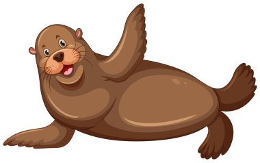 Deniz aslanı ile mutlu yüz