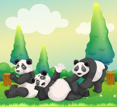 Parkta oynayan üç pandalar