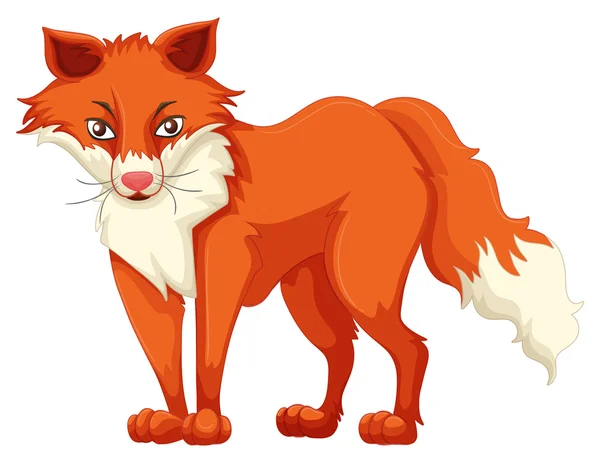 Fox con piel roja — Vector de stock