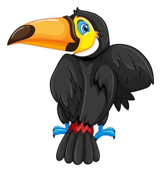 Arrière de toucan oiseau — Image vectorielle