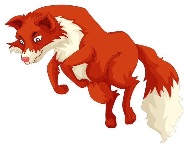 Red fox springen — Stockvector