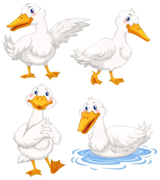 四只鸭，在不同的姿势 — 图库矢量图片