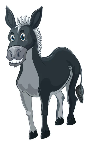 Burro con piel gris — Vector de stock