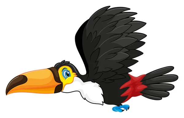 Toucan volant dans le ciel — Image vectorielle