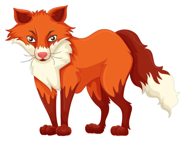 红狐狸站在白色背景上 — 图库矢量图片