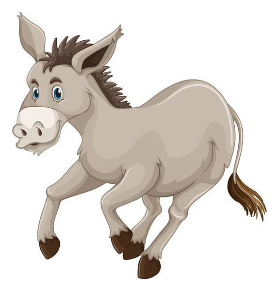 Donkey on white background — Stock Vector