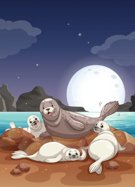 Тюлени, живущие у моря ночью — стоковый вектор