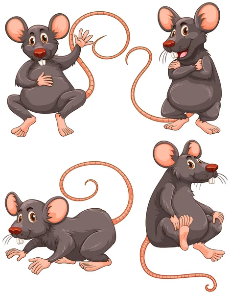 Миша з сірим хутром в чотирьох діях — стоковий вектор