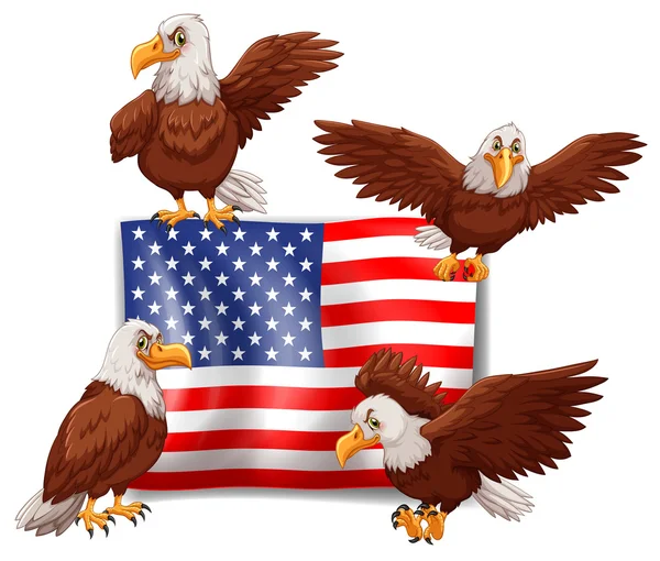 American flag and four eagles — Stock Vector