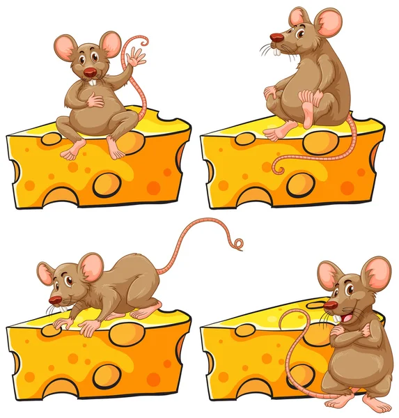 Cuatro poses de ratón y queso — Vector de stock