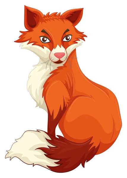 Red fox zittend op witte achtergrond — Stockvector