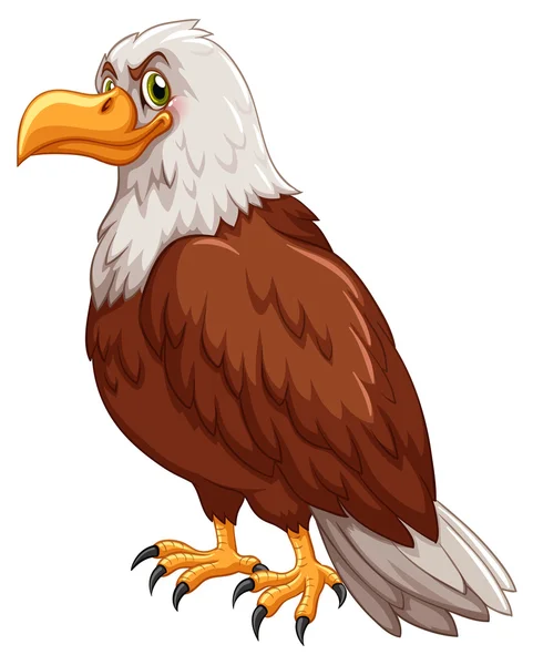 Wild eagle on white background — Stock Vector