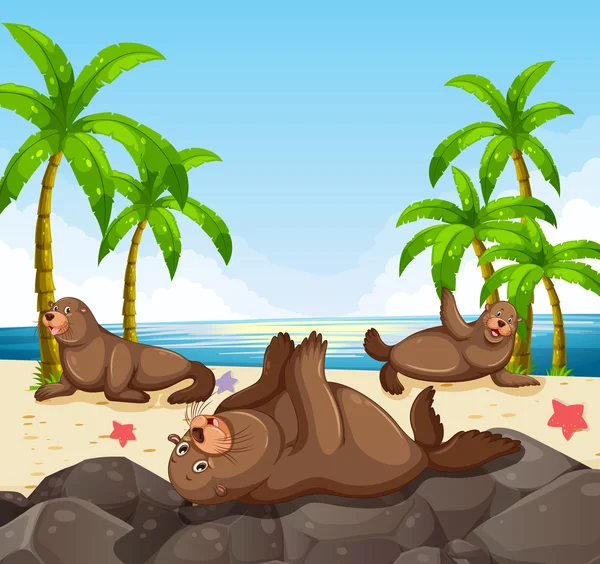 Zeehonden plezier op het strand — Stockvector