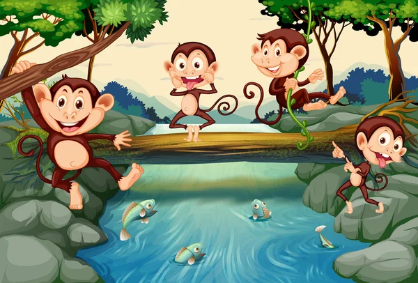 Four monkeys by the river — Stock Vector