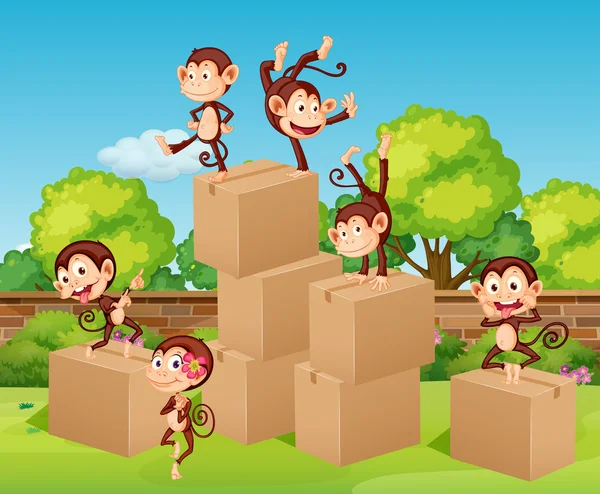 Monkeys climbing up the boxes — Stock Vector