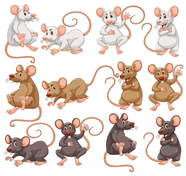 Ratones blancos imágenes de stock de arte vectorial | Depositphotos Ratones blancos imágenes de stock de arte vectorial | Depositphotos
