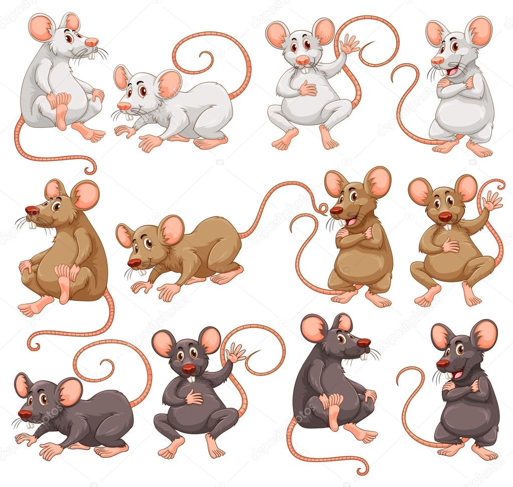 Ratones blancos imágenes de stock de arte vectorial | Depositphotos Ratones blancos imágenes de stock de arte vectorial | Depositphotos