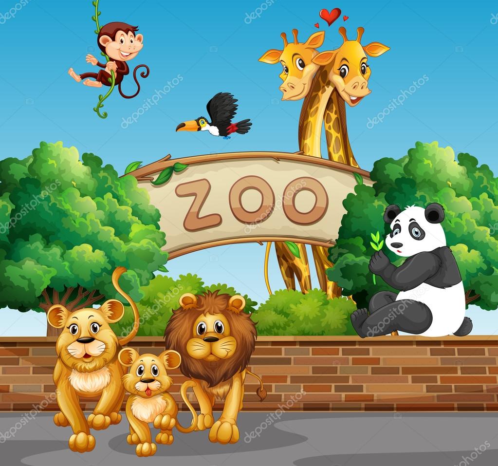 Individual Cartoon Zoo Animals | apaarelectricals.com