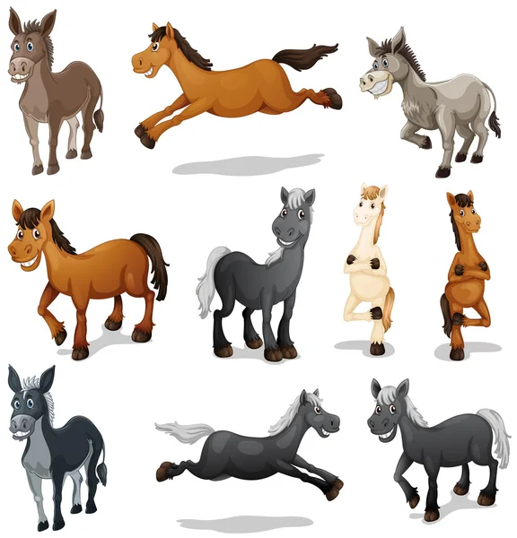 Caballos y burros en diferentes poses — Vector de stock