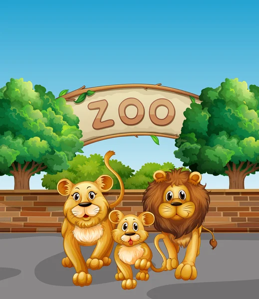 Lion family in the zoo — Stock Vector