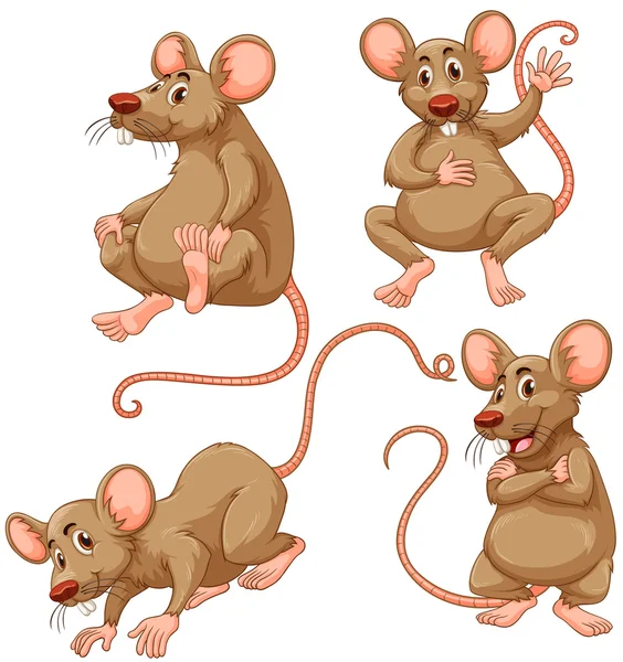 Quatre souris brunes sur fond blanc — Image vectorielle