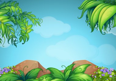 Sahne kayalar ve asma