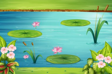 Lotus gölet ile sahne